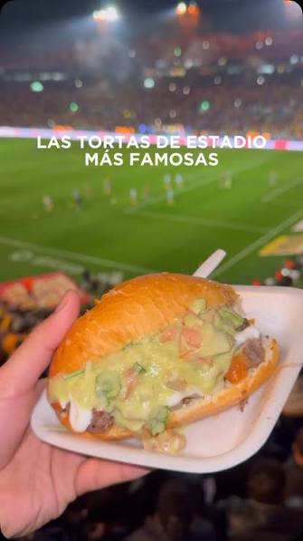 Torta de Arrachera